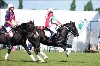 UKPA NC SAT_2303